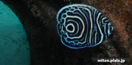 2000-06-15 けらま