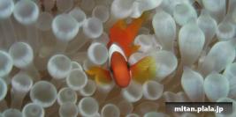 2001-09-21 けらま