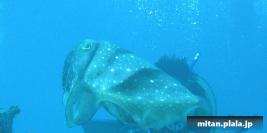 2001-12-27 けらま