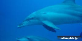 2009-10-30 小笠原