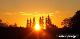 2011-12-17 洗足池公園