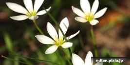 2012-10-04 大手町