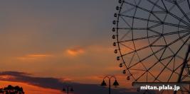 2012-11-03 葛西臨海公園