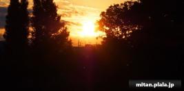 2012-11-18 洗足池公園