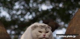 2012-11-25 代々木公園