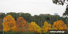 2012-11-29 大手町