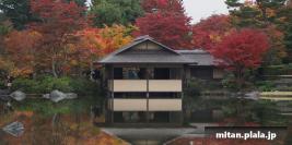 2013-11-09 昭和記念公園