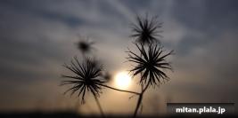 2014-02-01 谷保天満宮、多摩川