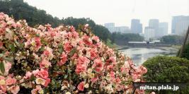 2014-03-26 霞ヶ関