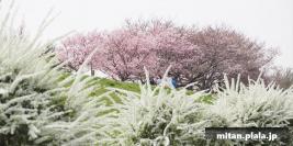 2014-03-29 多摩川