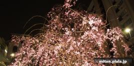 2014-04-02 立会街道