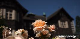 2014-05-17 旧古河邸庭園