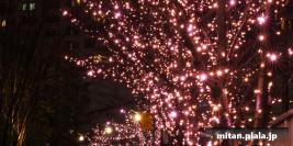 2014-12-18 目黒川