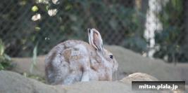 2015-05-05 横浜ズーラシア