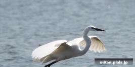 2015-05-10 葛西臨海公園