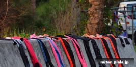 2015-09-05 けらま(陸)