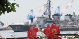 2016-06-11 横須賀ワイワイのりものフェスタ