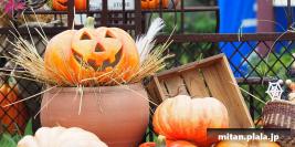 2016-10-10 横浜イングリッシュガーデン、山下公園