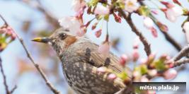 2017-04-02 立会街道