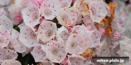 2017-05-17 みなとみらい