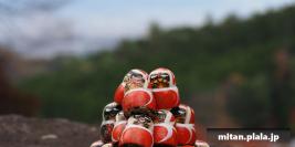 2017-11-19 勝尾寺、大阪城