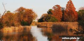 2017-12-02 水元公園、みさと公園