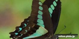 2018-05-06 林試の森公園