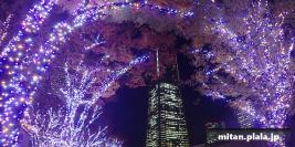 2018-11-20 みなとみらい