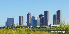 2020-04-19 等々力渓谷、多摩川