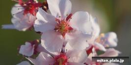 2021-02-28 目黒不動