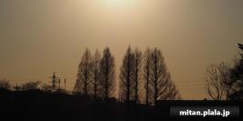 2022-01-22 洗足池公園