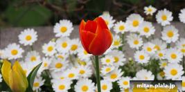 2022-03-28 立会街道