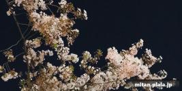 2022-04-08 立会街道