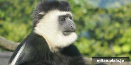 2022-05-03 横浜ズーラシア