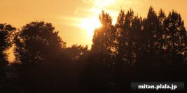 2022-10-10 洗足池公園