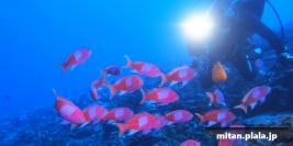 2023-09-16 けらま