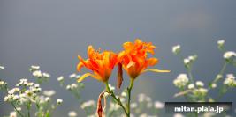 2024-07-04 大手町