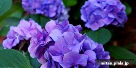 2025-06-06+16 大手町